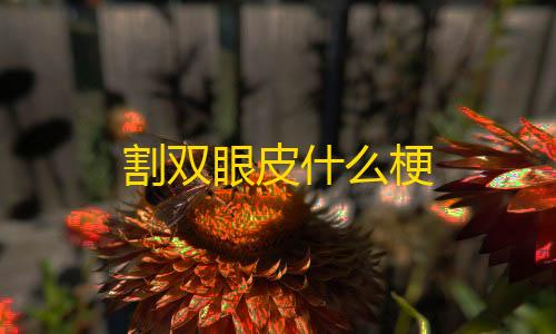 香肠派对透视教程割双眼皮什么梗